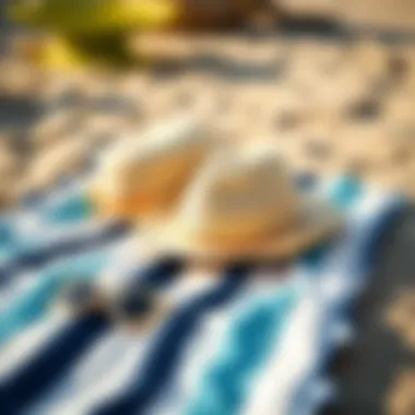 Innovative Beach Mat Features User-friendly features of a beach mat displayed