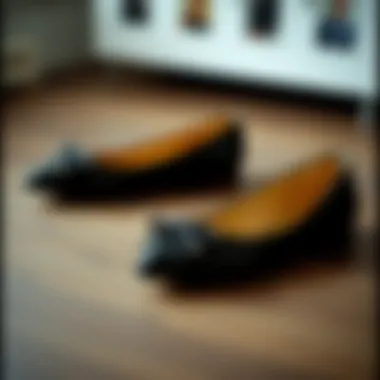 Elegant Black Closed Toe Flats Elegant black closed toe flats on a wooden surface