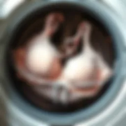 A close-up of a delicate bra placed inside a specialized washing machine holder