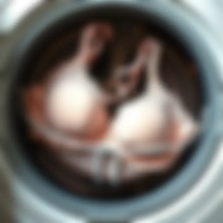 A close-up of a delicate bra placed inside a specialized washing machine holder
