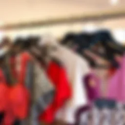 A stylish selection of crop tops displayed on hangers showcasing various colors and patterns