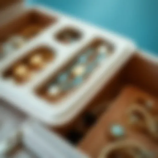 Elegant jewelry organizer showcasing intricate zipper design