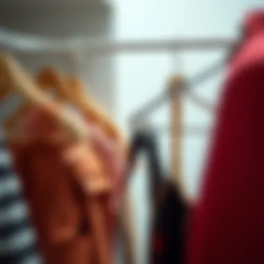 Creative storage solutions with handbag hangers