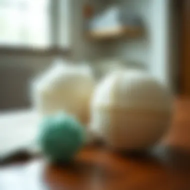 Comparison of laundry balls and other pet hair removal methods