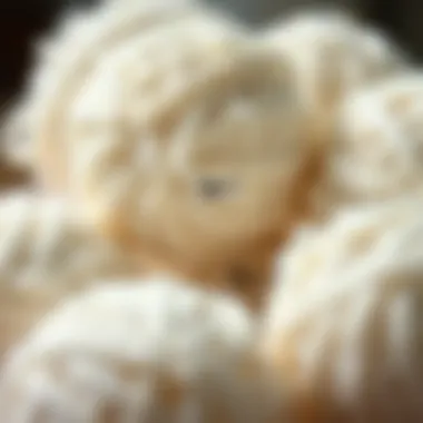 Close-up of laundry balls showing their unique texture