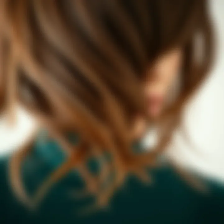 Natural Hair Texture Wig Close-Up Detailed close-up of natural hair texture in a brown wig