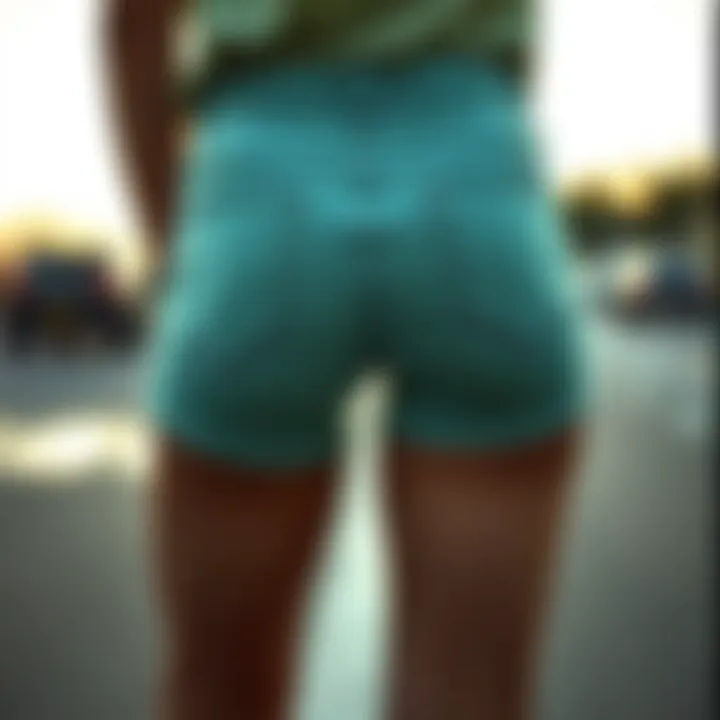 Unique Design of Back Zipper Shorts A stylish pair of back zipper shorts showcasing unique design