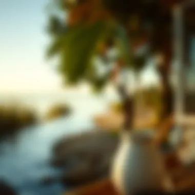 Best Practices for Home Waxing A tranquil scene reflecting the best practices for effective home waxing