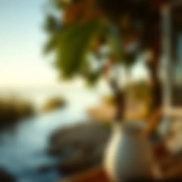 Best Practices for Home Waxing A tranquil scene reflecting the best practices for effective home waxing