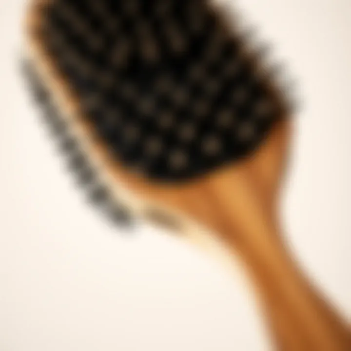 Paddle Brush Design for Natural Hair A close-up view of a paddle brush with natural bristles, showcasing its unique design.