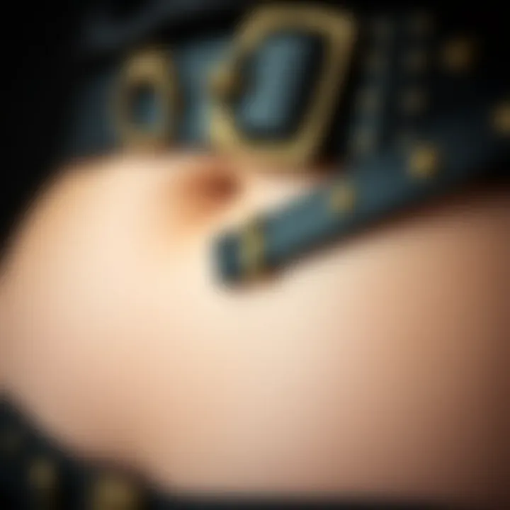 Detailing on a Leather Goth Belt Close-up of a leather goth belt adorned with unique hardware and embellishments