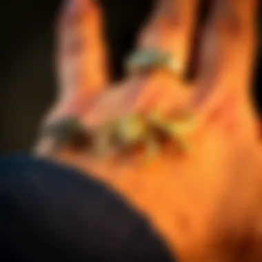 Collection of various scorpion rings highlighting different styles