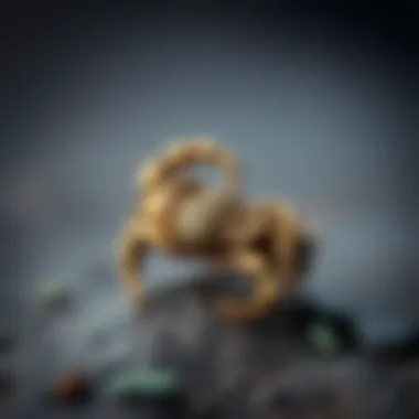 Intricate design of a scorpion ring showcasing craftsmanship
