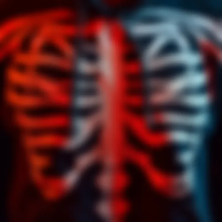 Close-up of fabric texture of a skeleton hoodie