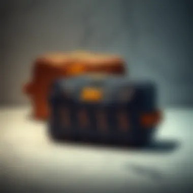 Variations in Design Aesthetics Stylish design choices in monogrammed bags