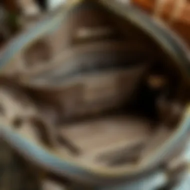 Detailed Interior of Organizer Purse Interior layout of a purse highlighting various compartments