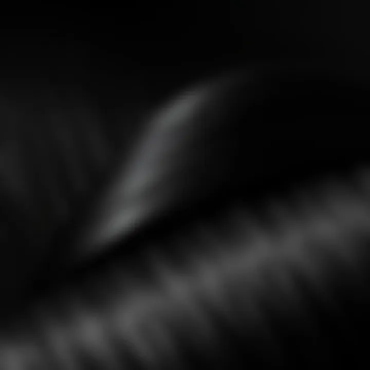 A close-up of luxurious black straight hair extensions showcasing shine and texture