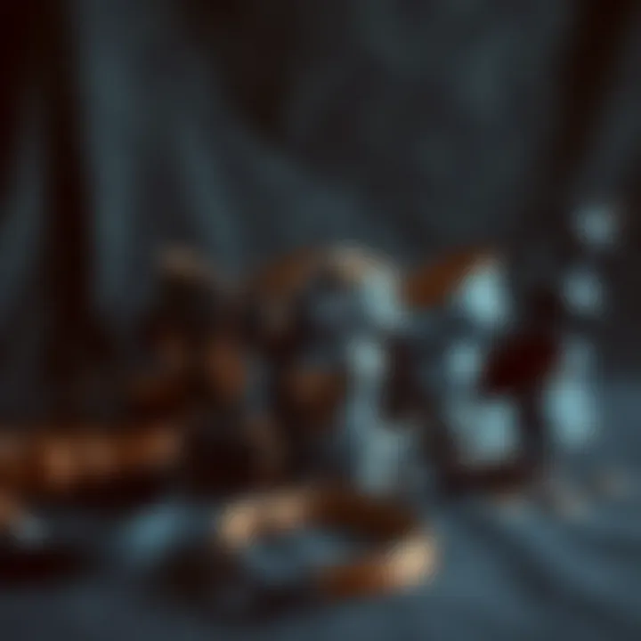 Diverse Styles of Leather Garter Harnesses Diverse styles of leather garter harnesses arranged aesthetically.