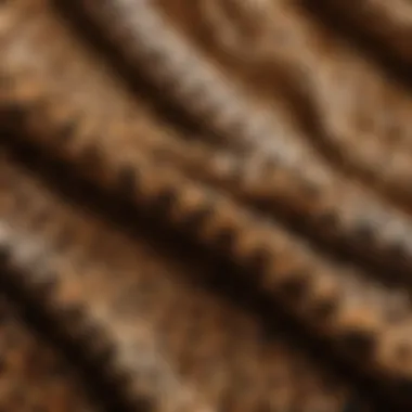 Close-up of leopard print fabric showcasing its texture