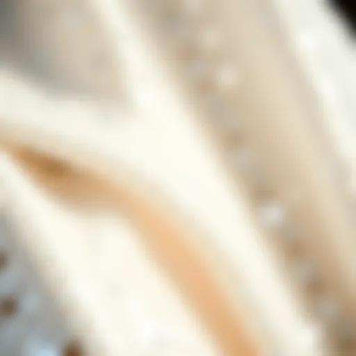 Close-Up of Shimmering White Sequins Elegant close-up of white sequins fabric reflecting light