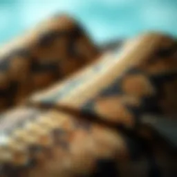 A close-up view of luxurious snake skin texture