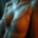 Elegant lace detailing symbolizing luxury and intimacy