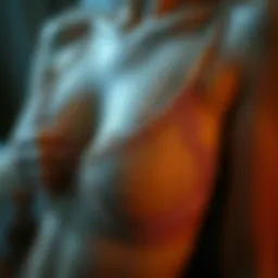 Elegant lace detailing symbolizing luxury and intimacy