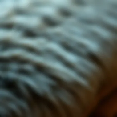 Close-up of high-quality fabric showcasing faux fur texture