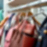 Elegant handbag hanger displaying organized bags