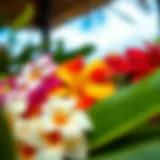 A vibrant display of assorted Hawaii flower clips showcasing their colors and textures