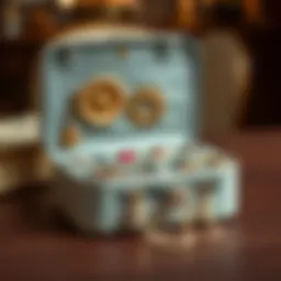 Elegant jewellery organizer bag showcasing compartments