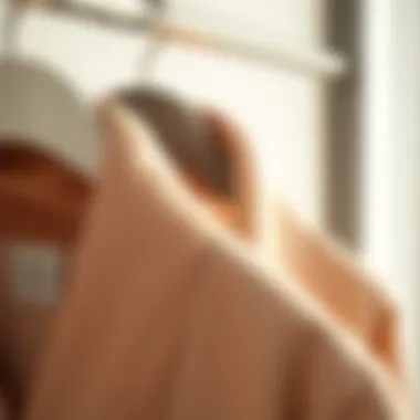 Luxurious Bathrobe on a Hanger A close-up view of a luxurious fabric bathrobe on a hanger