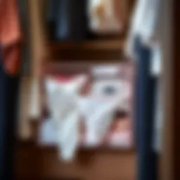 Elegant undergarment organizer in a stylish wardrobe setting