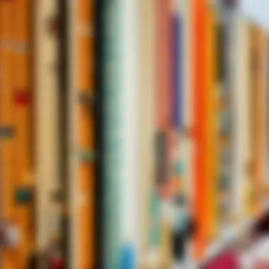 Vibrant Variety: Necklace Styles on Display Colorful display of various necklace styles on organizer