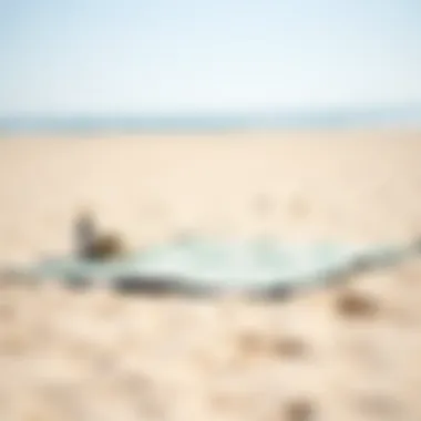 Stylish Portable Beach Mat Stylish portable beach mat spread on the sand