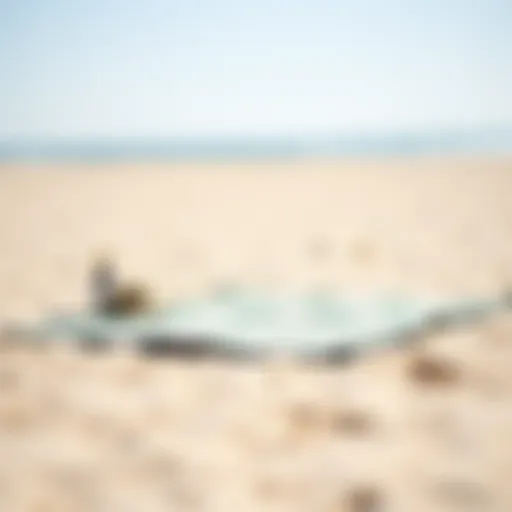 Stylish Portable Beach Mat Stylish portable beach mat spread on the sand