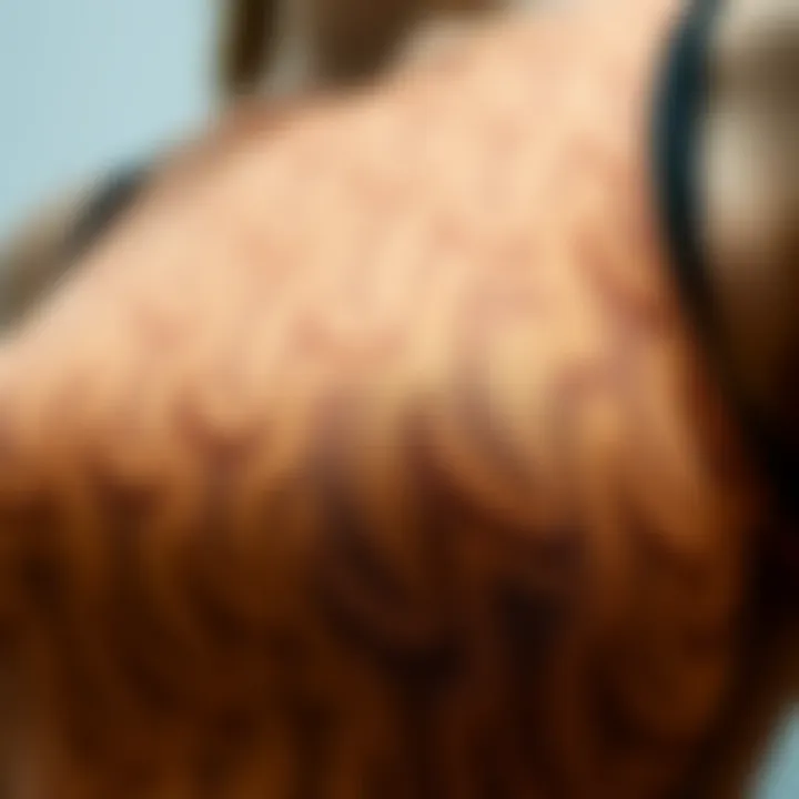 Intricate Fabric Texture of Shapewear Close-up of fabric texture used in seamless shapewear