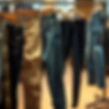 Different cuts of bluejeans displayed on hangers