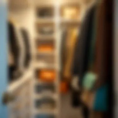 Stylish closet featuring handbag hangers