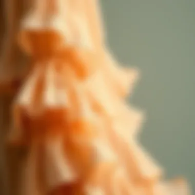Close-Up of Ruffle Layer Texture Close-up of delicate fabric texture and ruffle details of a maxi dress