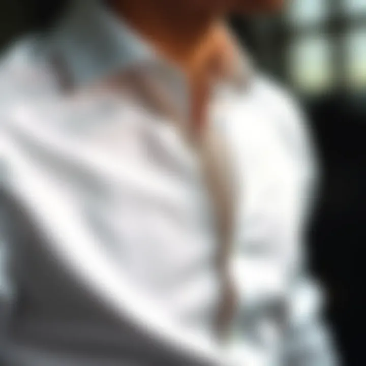 Elegant shirt stays showcasing their design