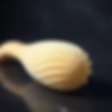 A close-up view of a silicone hair scrubber showcasing its unique texture and design.