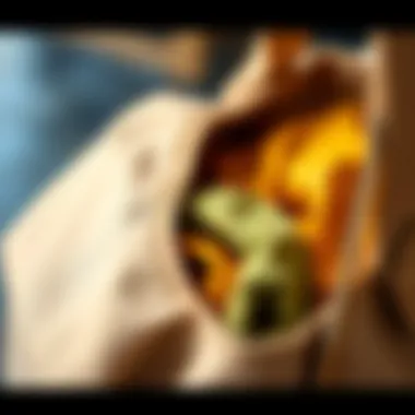 Sustainable Material Choices Close-up of eco-friendly materials in a bag