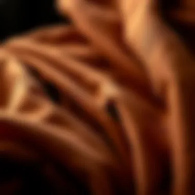 An array of rich autumnal fabrics showcasing texture and depth