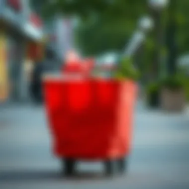 User-friendly features of a wheeled bag for grocery shopping