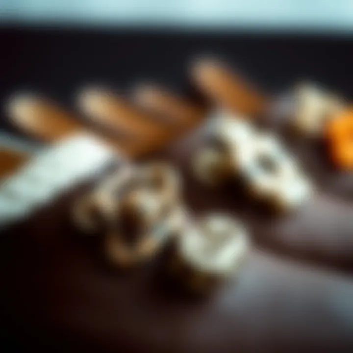 Unique Clip-On Designs and Materials A close-up of unique clip-on designs showcasing different materials