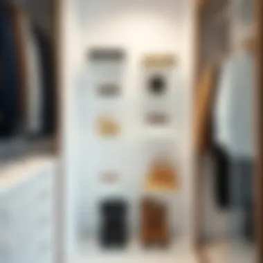 Minimalist Wardrobe with Acrylic Shelves Minimalist wardrobe featuring clear acrylic shelves for organization