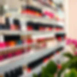 Stylish acrylic shelf displaying a vibrant nail polish collection