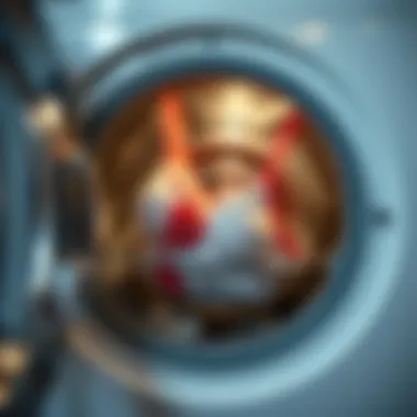 A washing machine filled with lingerie secured by a bra holder